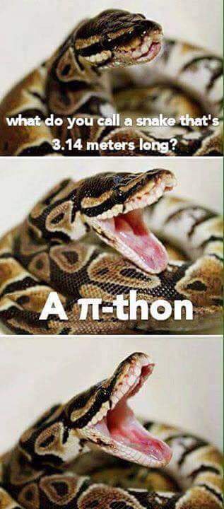 _Sackung's tweet photo. Few things make me burst out in laughter. I know it is really stupid. #PiDay2018 #pijokes #snakes https://t.co/HfDdouCQnU