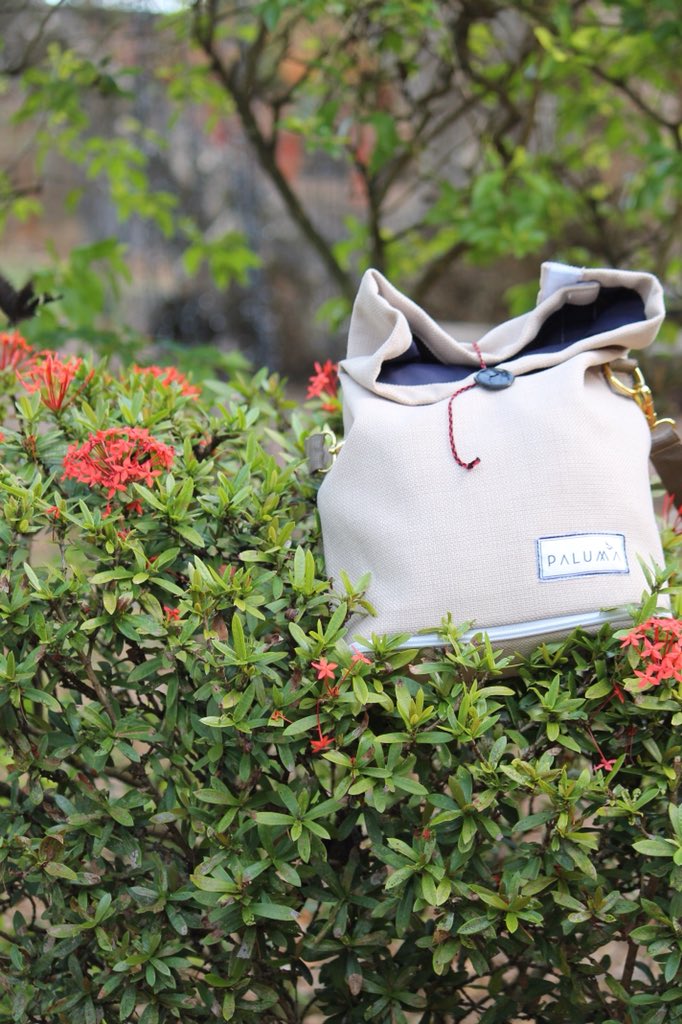PalumaGuam's tweet photo. Nature shots with our hågu bag 🍃 https://t.co/qo76AzWS6P