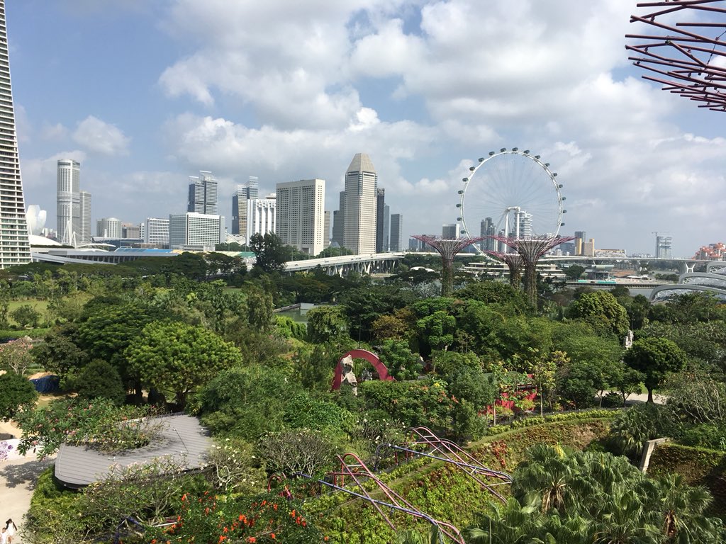 AnaEloisaGa's tweet photo. Take me back 🛳
Tokyo 🇯🇵 Singapore 🇸🇬 Kochi 🇮🇳 Colombo 🇱🇰 #SWY30 https://t.co/QTYeOab34C