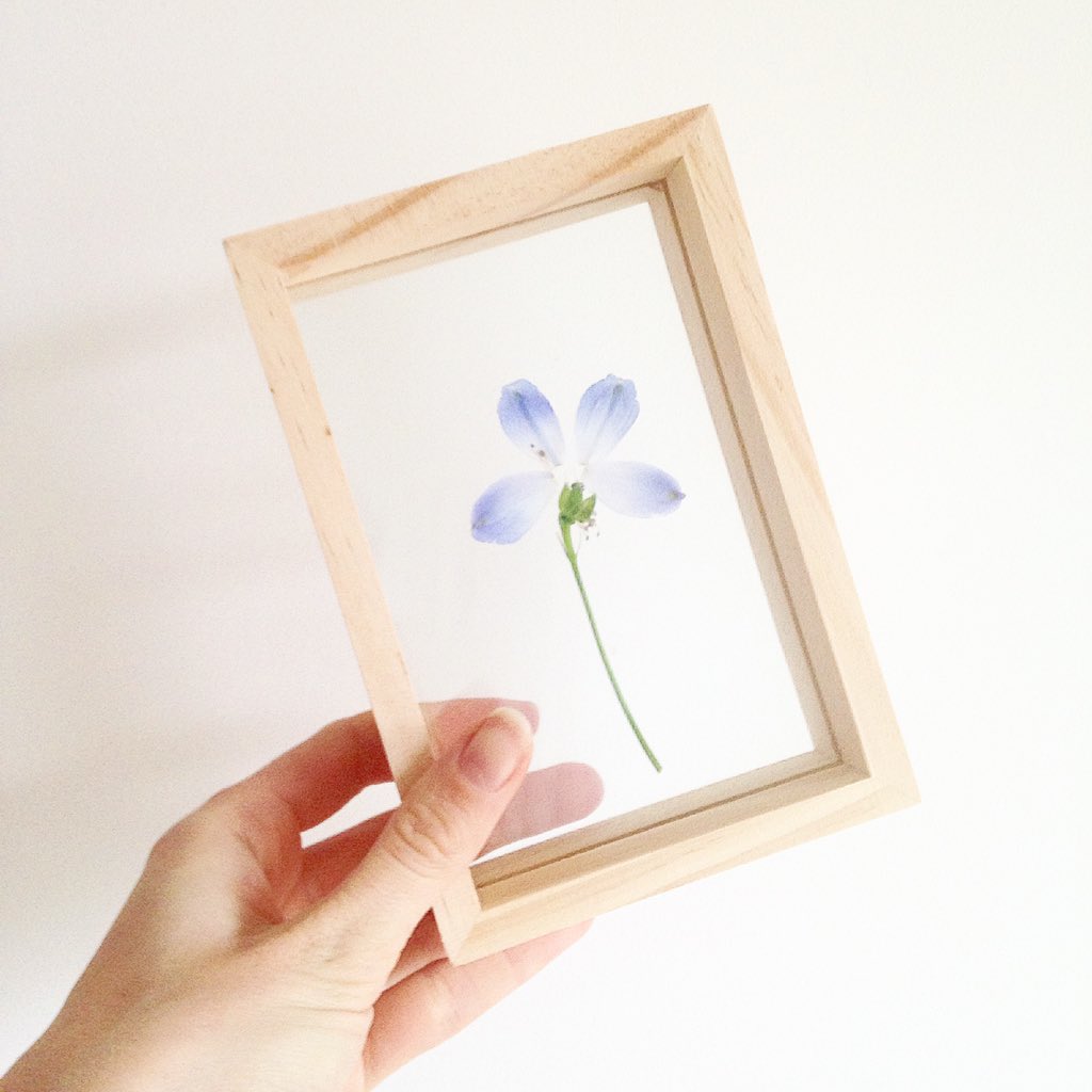 IMAKIN • Jinske Verpalen tweet media