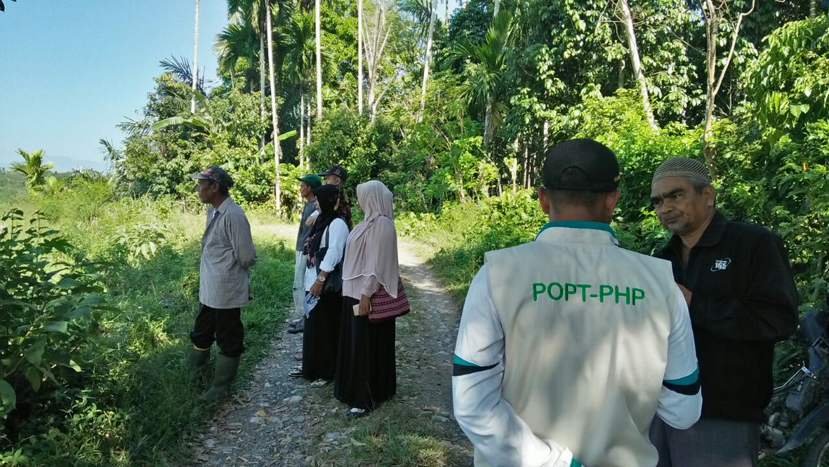 thlpoptaceh's tweet image. Amankan produki
Gerdal Opt Blas
koptan Tunas Mekar
Ds.Buga,Seulimeum,Aceh Besar
@infoirwandi 
@THLPOPTNASIONAL 
@ditlin_tp 
#SalamPerlintan