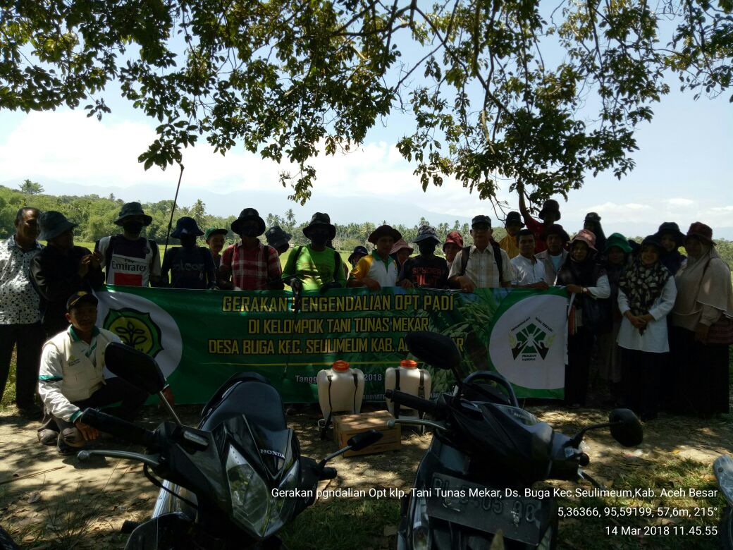 thlpoptaceh's tweet image. Amankan produki
Gerdal Opt Blas
koptan Tunas Mekar
Ds.Buga,Seulimeum,Aceh Besar
@infoirwandi 
@THLPOPTNASIONAL 
@ditlin_tp 
#SalamPerlintan