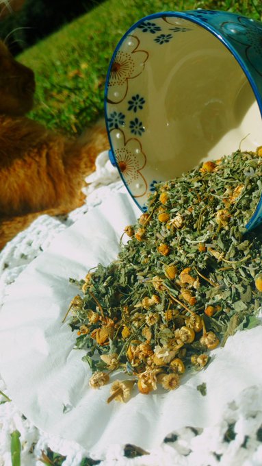 Soap, soap, soap, tea, tea, tea! Lots of flavors and scents all handmade❄️✌️ inquires email lylastormxxx@gmail