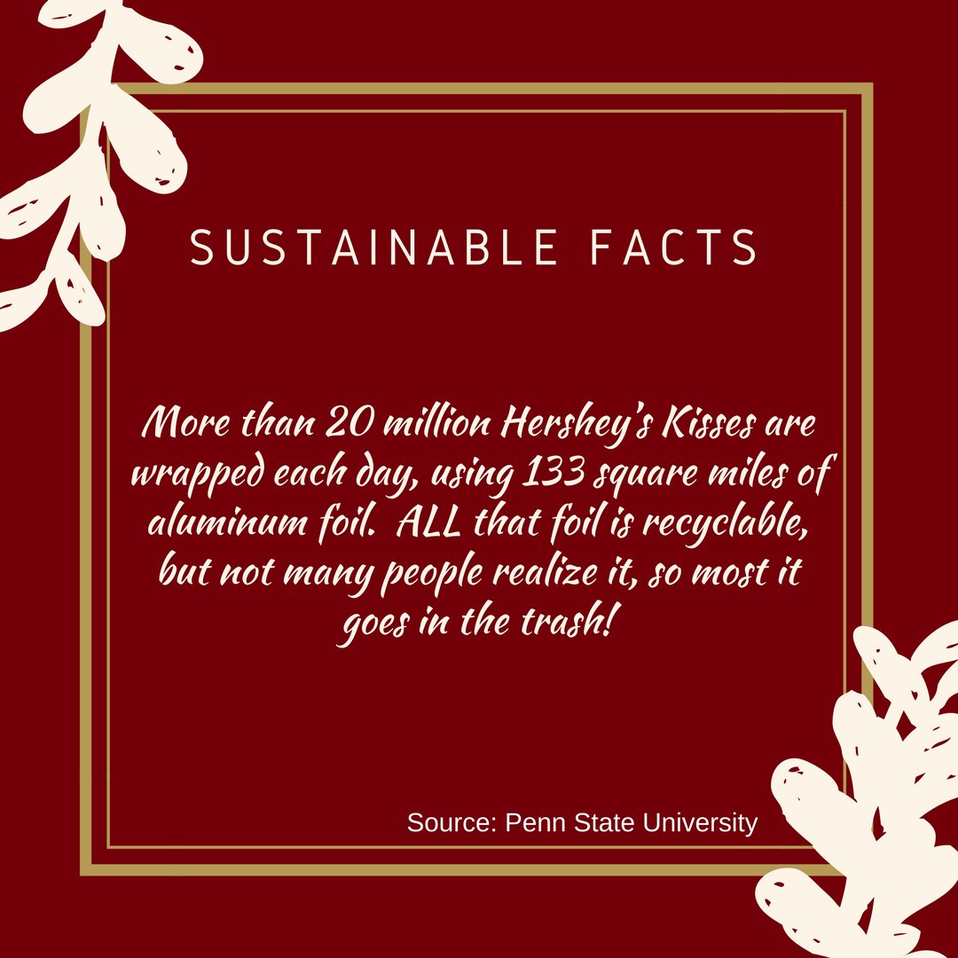 SustainableElon's tweet photo. Hey Elon, did you know? #SustainableFacts https://t.co/Ux09xru4kd