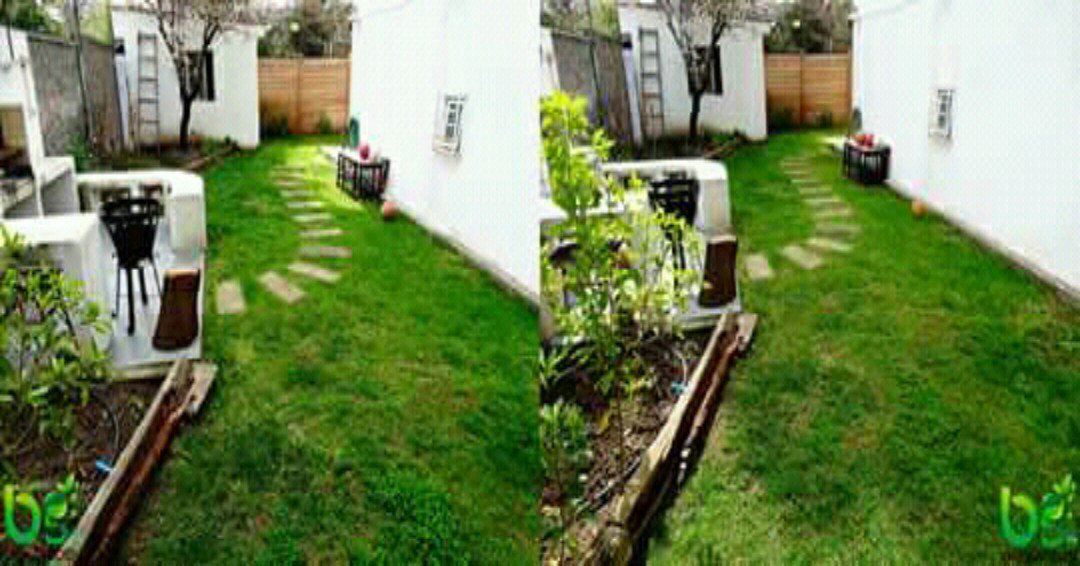 Bio Garden tweet media