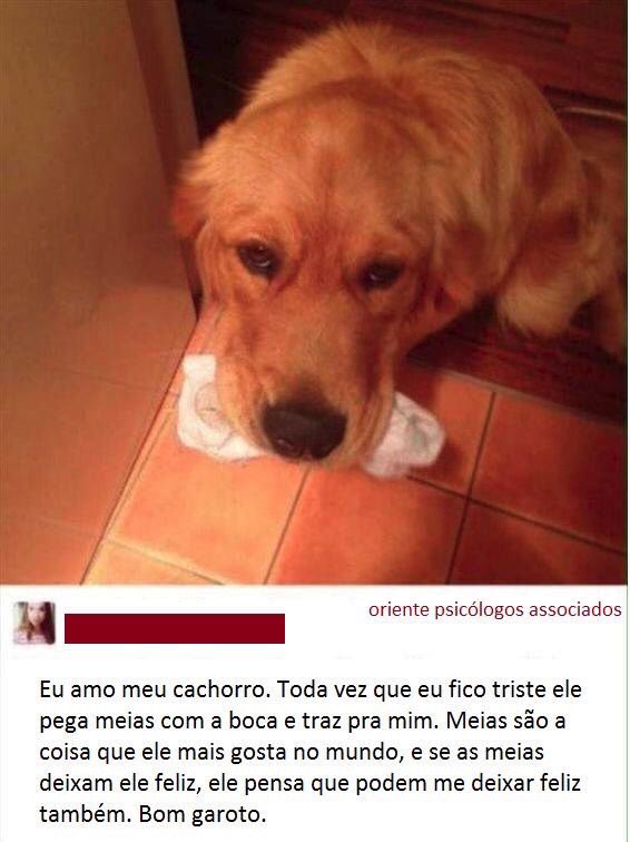 ilovefofuras's tweet photo. Não merecemos os animais. https://t.co/pBr2OevCxE