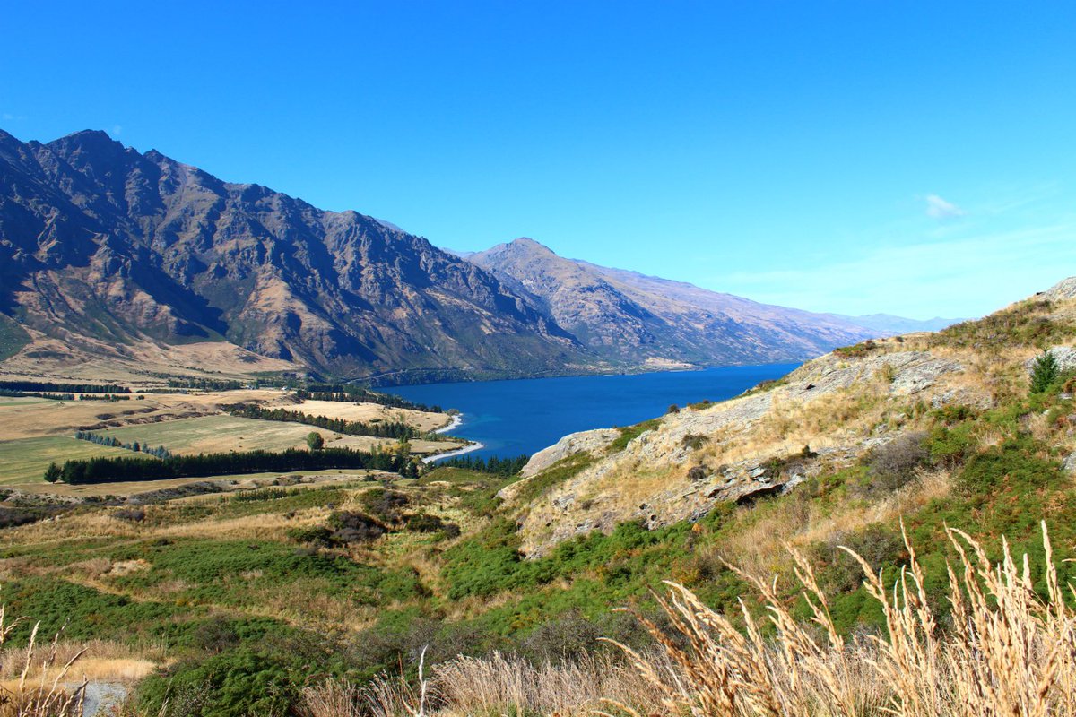 MyGuideNZ's tweet photo. Some of the best views in #Queenstown can be found at #JacksPoint #myguidetips #golf #walk #newzealand #nz #southisland #newzealandtravel https://t.co/6IZW1THVvM