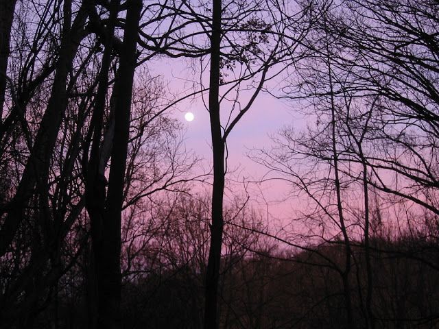 FromTheMystery's tweet photo. Peace abides with me today. Step 74 - Steps to Knowledge: The Book of Inner Knowing ~ Spiritual Practices #ThursdayThoughts #ThursdayWisdom #ThursdayMotivation #ThursdaySpirituality #ThursdayBooks https://t.co/viz0MSTbRv https://t.co/0U3vperDLe