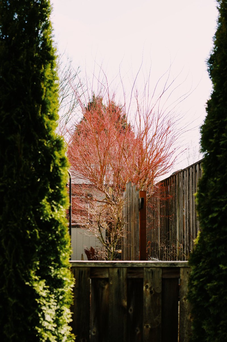 Mapps (Inactive) tweet media