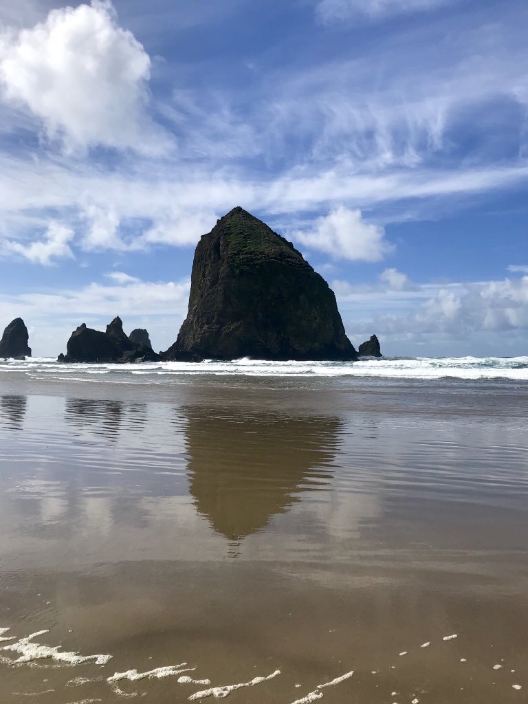 Tay_mckenna's tweet photo. This trip was much needed. No work, no stress, no problem 💓🌊🐙 https://t.co/Kiiz825Xy2