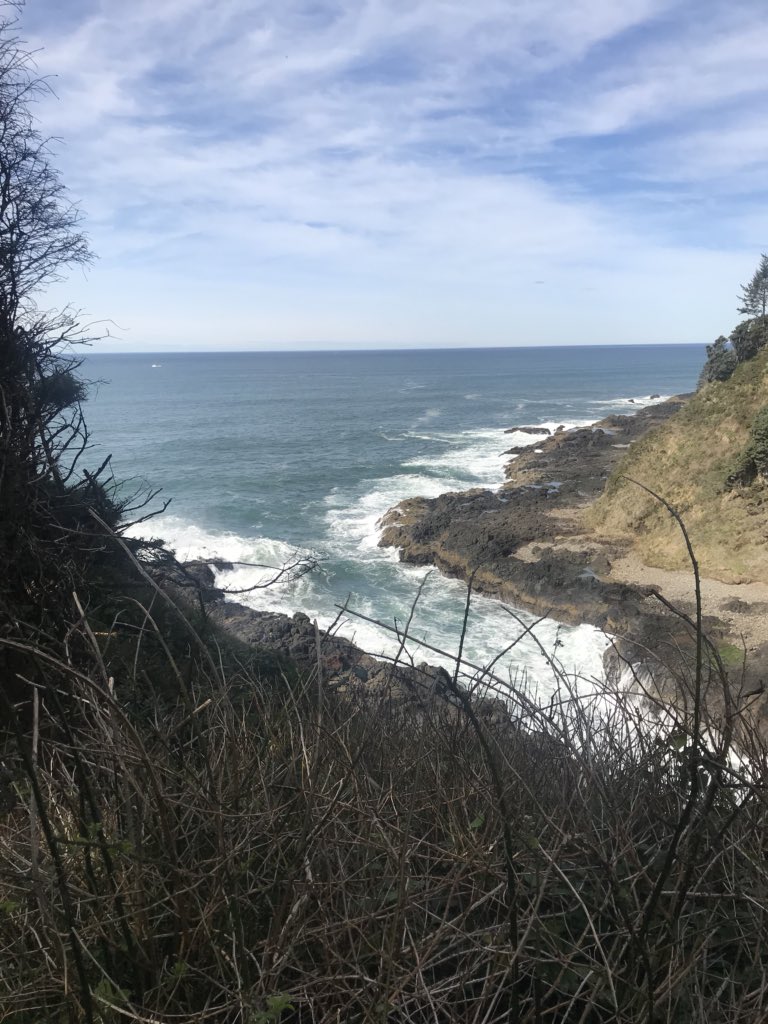 Tay_mckenna's tweet photo. This trip was much needed. No work, no stress, no problem 💓🌊🐙 https://t.co/Kiiz825Xy2