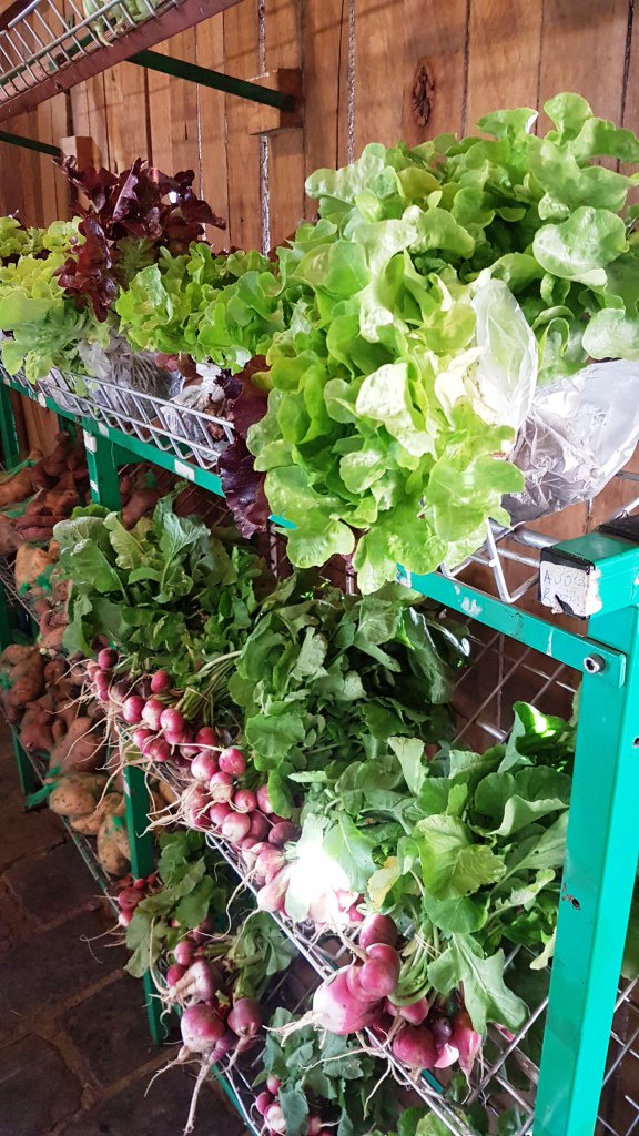 BryOrgMarket's tweet photo. Thursdays are market days! Doors open at 9am. Fresh , organic , local and handcrafted @whats_on_jhb @annmackeco @jewelledleaf @JohannesburgIYP @curateJoburg @JhbGuesthouses https://t.co/w7cOkR55nd