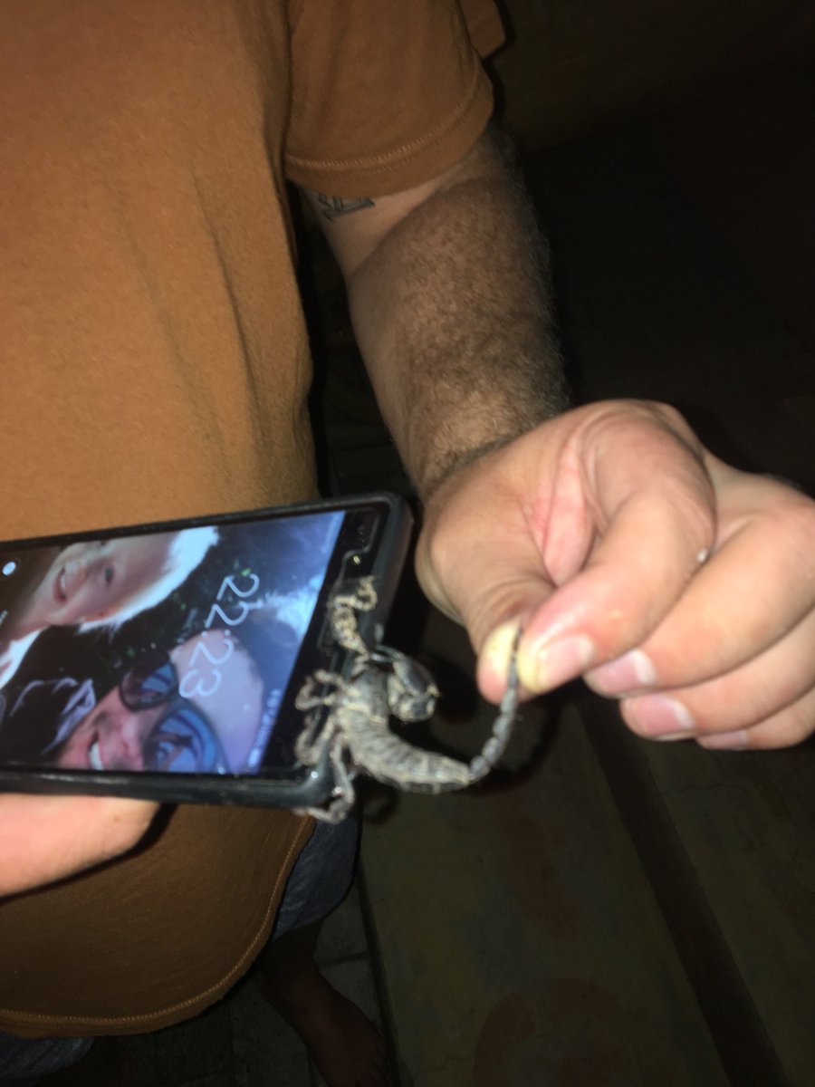 warwick_17's tweet photo. And also we caught a scorpion 😱 https://t.co/mldyWoSILq