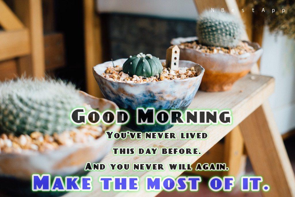 DongoJoshua's tweet image. 