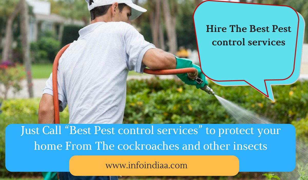 infoindiaa's tweet photo. Just Call #BestPestcontrolservices” to protect your home From The cockroaches and other insects
#Gorakhpur #Congress #Phulpur #ThursdayThoughts https://t.co/Gm6LwXvWde