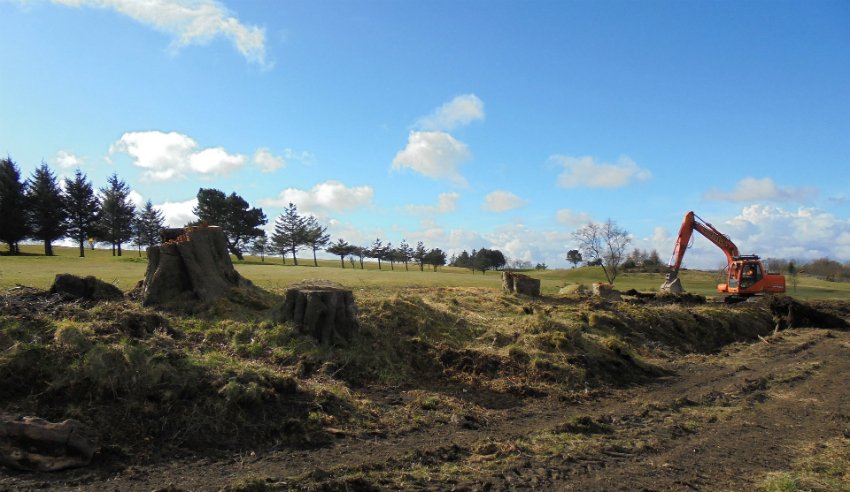 LawyersWeekly's tweet photo. The New South Wales government’s land-clearing code has been declared invalid by the state’s Land &amp; Environment Court. #auslaw https://t.co/OCdr4l1ZP6 https://t.co/BInXV508EA