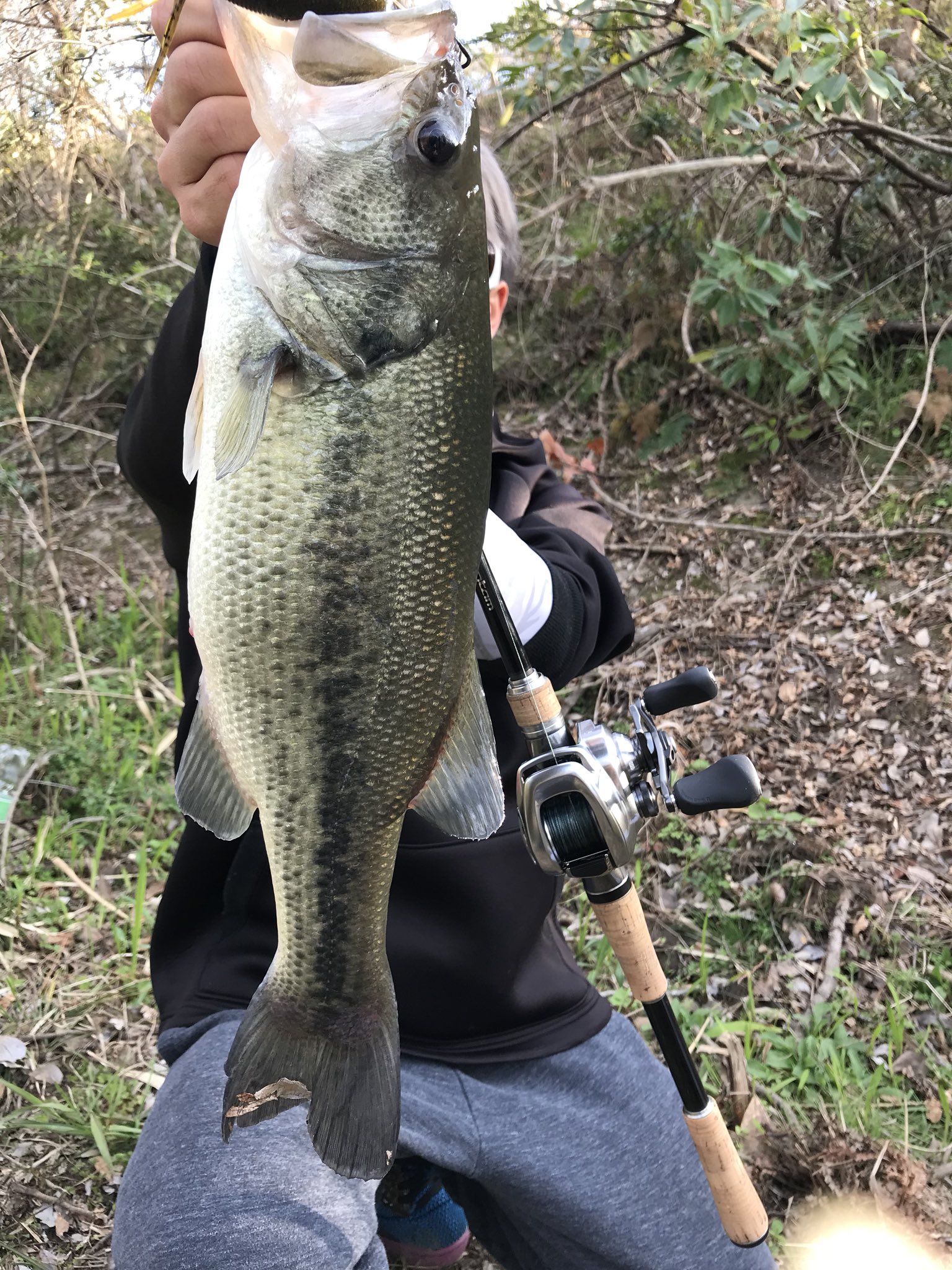 バンタム 170H | tspea.org