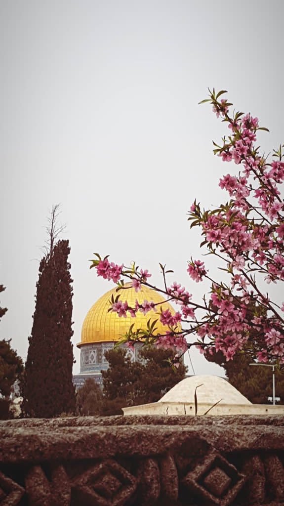 #قبة_الصخرة 💙