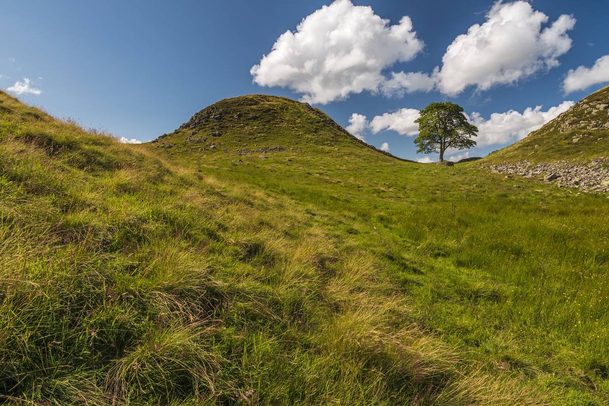 hexhamcourant's tweet photo. Great news for @NlandNP, winner of a prestigious @BBCCountryfile Magazine award. #Tynedale #Northumberland https://t.co/4Yn3ijRFae https://t.co/OvlOcVKQ5D
