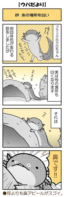 ウーパールーパー を含むマンガ一覧 いいね順 7ページ ツイコミ 仮 ウーパールーパー を含むマンガ一覧 いいね順 7ページ ツイコミ 仮
