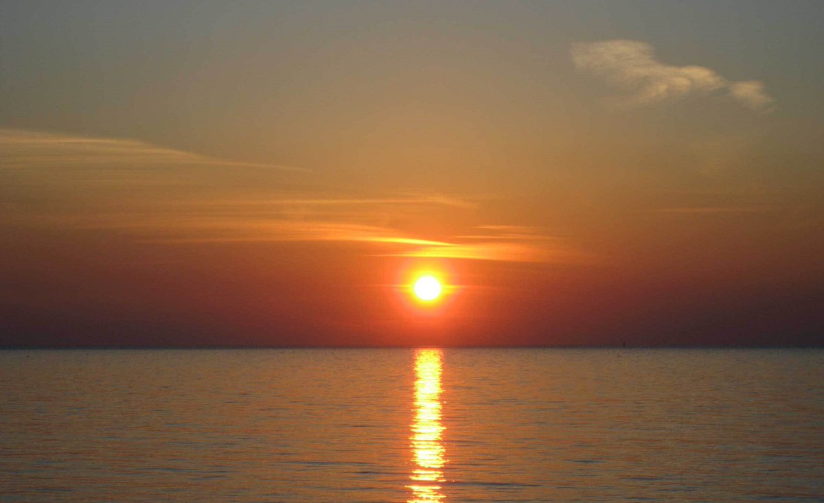 Good morning all! There is a Sun within every person. Rumi ~ A wonder, bright, warm Thursday to you!