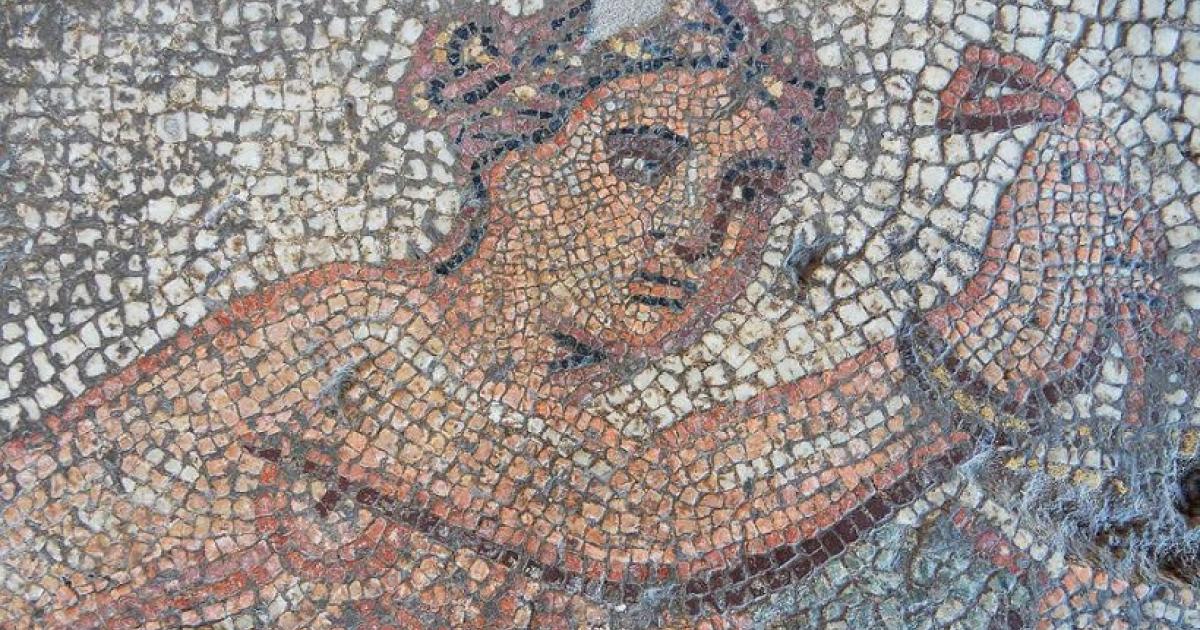 MacedoniaPhotos's tweet photo. The "Alexandros Mansion" in the village of Amyntaio Florina is one of the lgst &amp; most luxurious priv. complexes of wealthy Greeks found in Macedonia #GRE adorned with 3 c BC mosaics from Gk mythology &amp; statues of deities in the Halls of Europa, the Nereid's &amp; the slayer of beasts https://t.co/MknpZQ66Y0