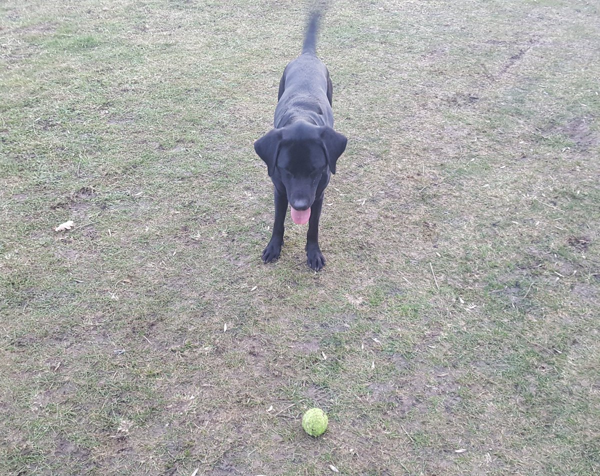 Sometimes it's the simple things that make us happy 🙂