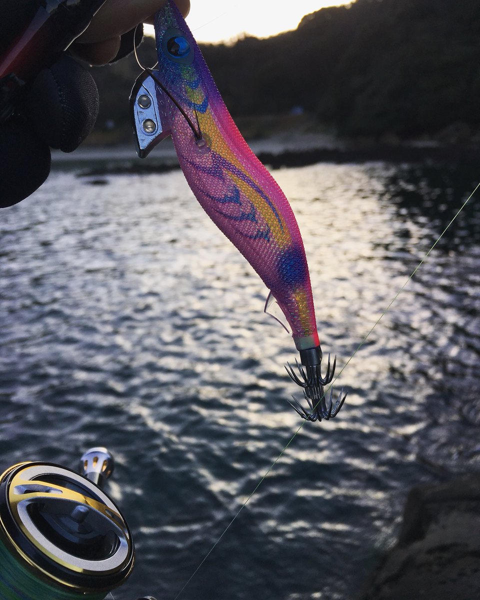 きな猫釣ch 1番イカを釣ってるエギはエギ王kシリーズです 特にシャロータイプが好きです