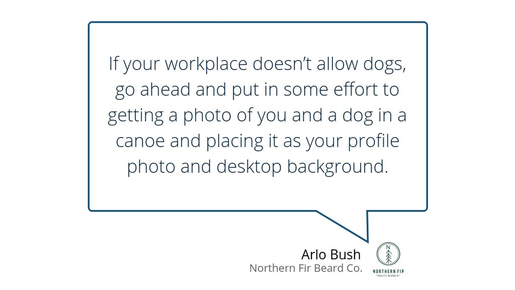 Northern Fir Beard tweet media