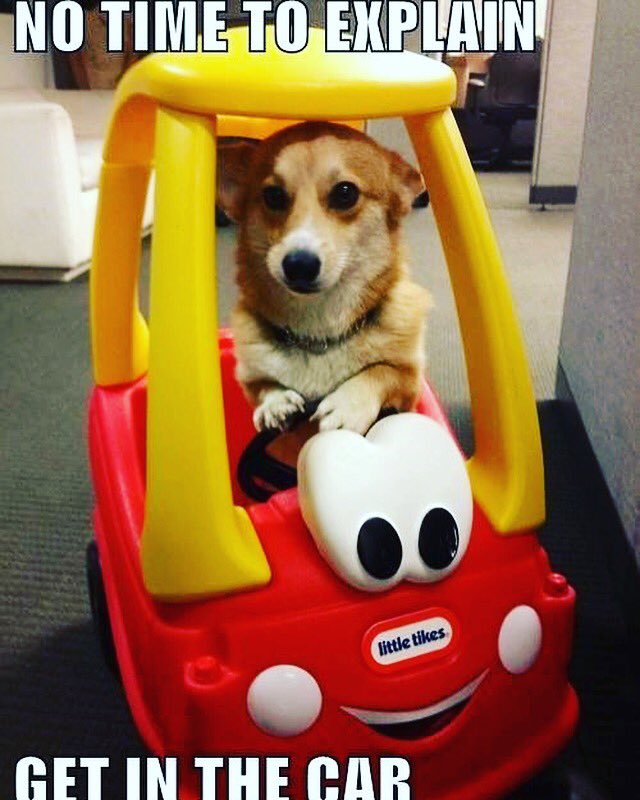 #dog #funnydogs #dogsmemes #indiegames #mobile #cutepets #cuteanimal #funnypets #hilariousanimals #dogevolution #pigevolution #coolgames #mobilegame #puppylife #weedhempire #ganjafarm 

appurl.io/jdiegph7