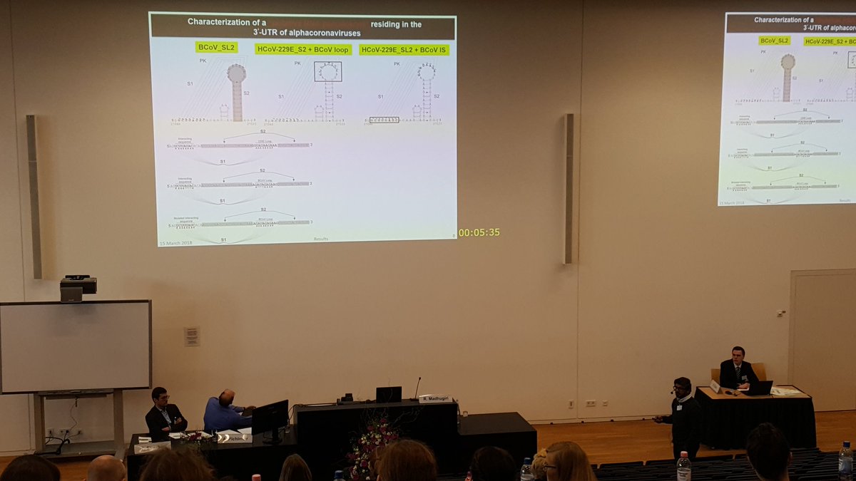 JenaRNA's tweet photo. Our dear friend Ramakanth from @jlugiessen is presenting his work on potential #pseudoknot structures in the 3'UTR of #Coronaviruses. Always nice to see #RNA having huge impacts on #virus #replication. https://t.co/SMDSf9CQ07