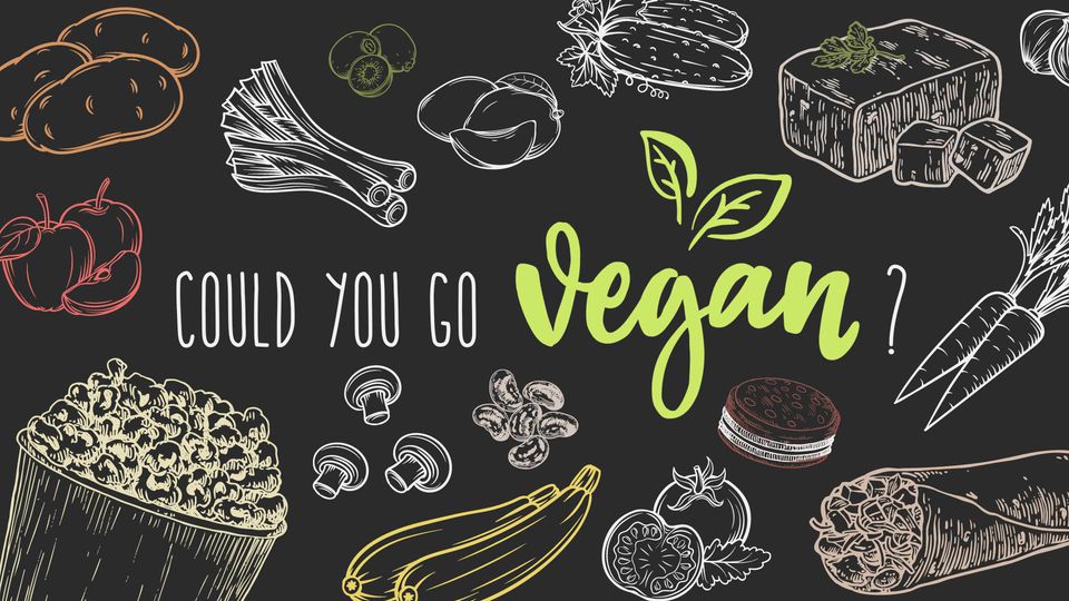 MaryanPM's tweet photo. There are so many reasons to #GoVegan 
For me: saving animals &amp; my health. What's your excuse? https://t.co/uFh6OZMlzJ