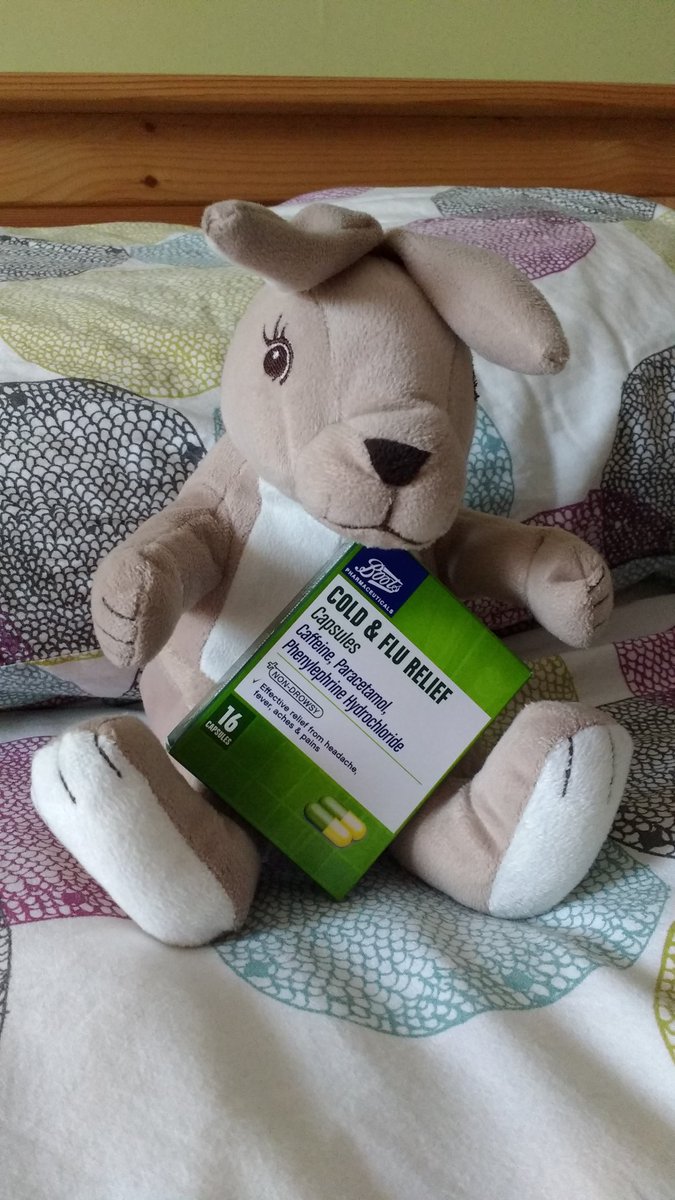 on thing ... Appleton is Katy this rabbit \