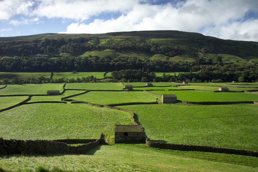 gorgeouscottage's tweet photo. Love this pic of the Yorkshire Dales. So relaxing for a Thursday morning #VisitYorkshire #FabView #YorkshireDales Pic courtesy of @Welcome2Yorks https://t.co/TfHzNfEFiB