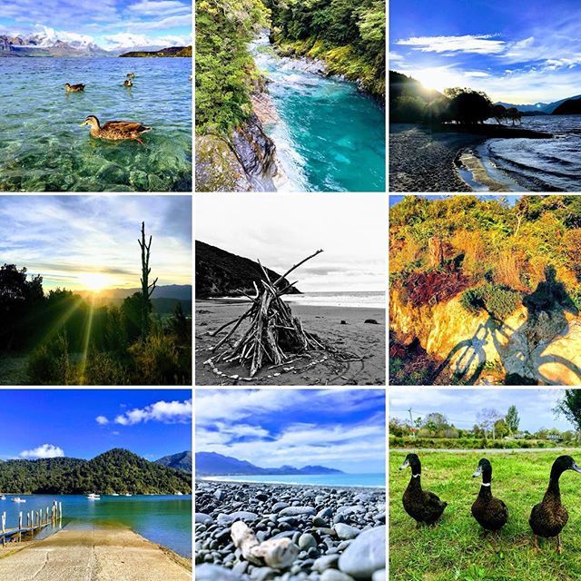 dukemasterpro's tweet photo. #throwbackthursday. 👍🏻Montage of #nzsouthisland snaps that Google photos got a little busy going #filterafterfilter with 📸. #christchurch #reefton #duncanbay #queenstown #kaikoura #bluepools #hasstpass #whitesbeach #cloudybay #ducks #pebblybeach #bikeshadows #jetty #nydiatra… https://t.co/luLUM5y64S