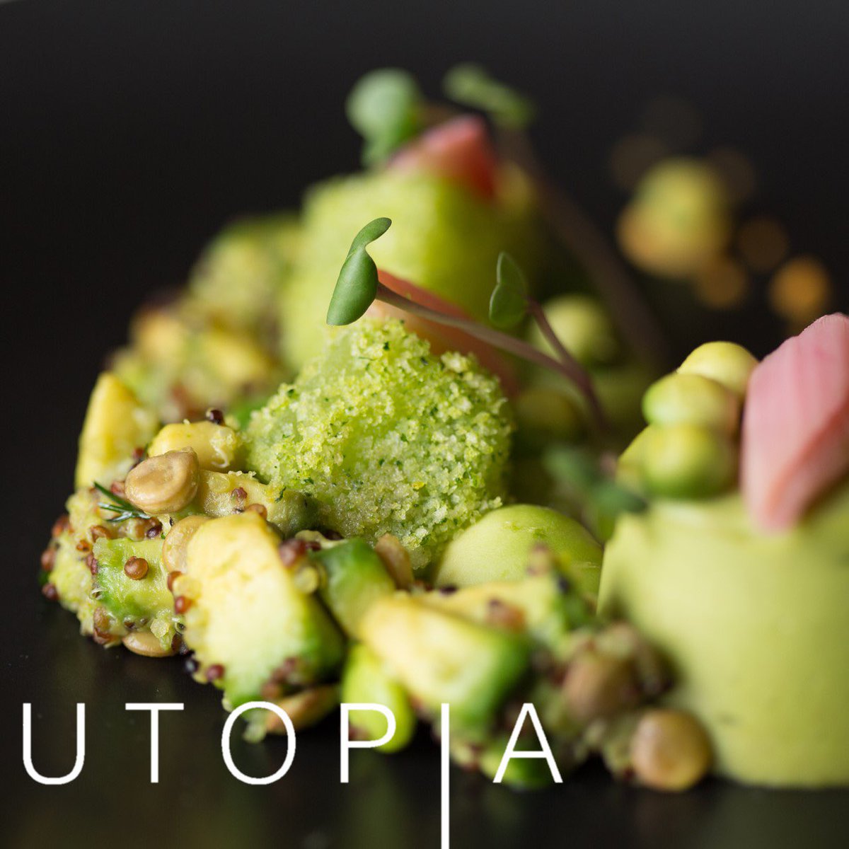 Planning a party?  We can offer a huge selection of beautiful and delicious food. #luxuryevents #luxuriousevents #events #wedding #weddingplanner #party #food #chef #eventplanner #canapes #bowlfood #event #eventservices