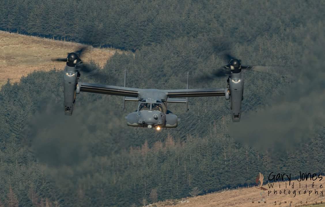 GJWildlifePhoto's tweet image. Osprey 'Knife' approaching Cad West
#osprey #machloop #cadwest