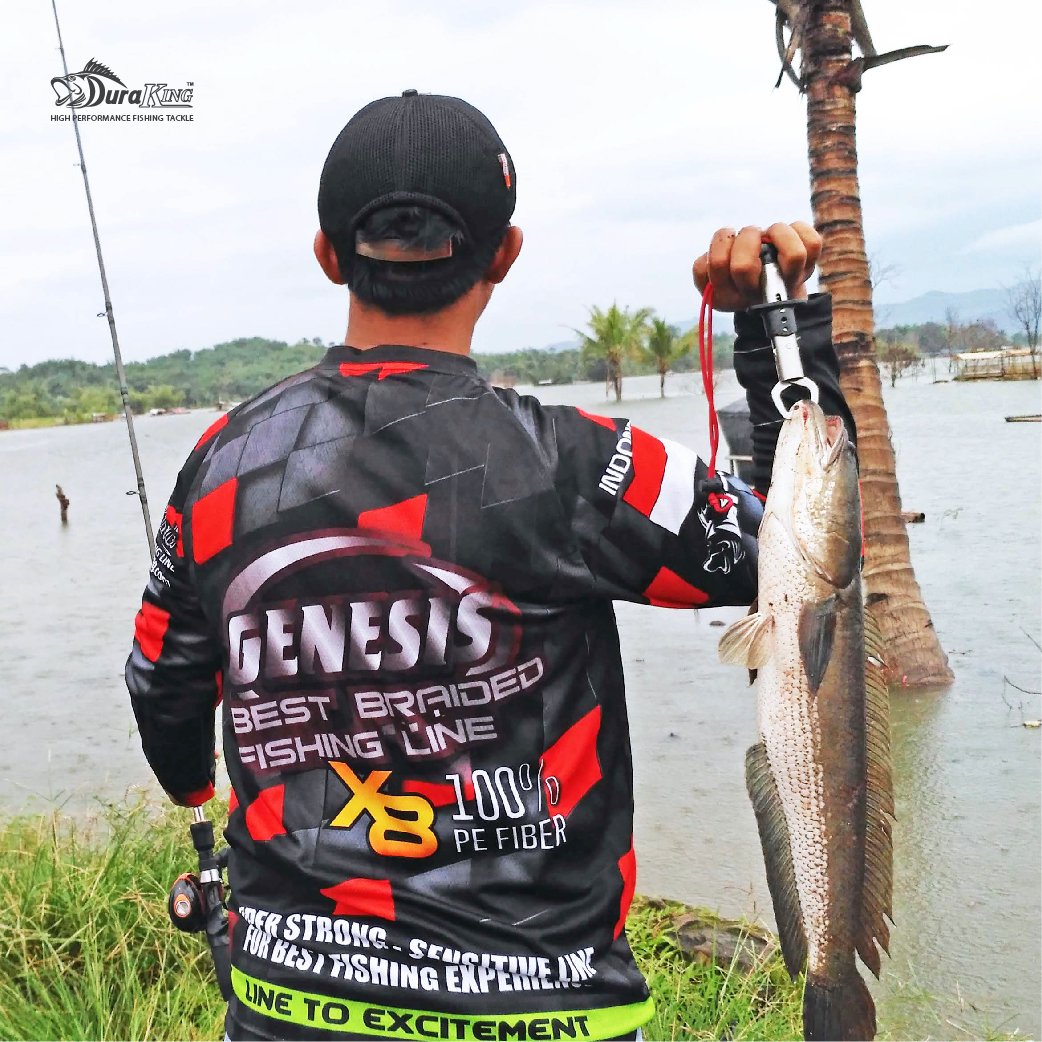 Untuk lebih merasakan keseruan memancing ikan gabus, pakailah benang pancing PE 1 atau 2 PE karena tarikan ikan gabus yang cukup kuat akan lebih terasa.