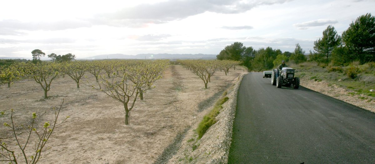 GVAagricultura's tweet photo. Els municipis poden fer les sol·licituds d'ajuda de condicionament de camins rurals de 2018 https://t.co/IEzt6b6NpU @Elenetcc https://t.co/7eXw7YwR7j