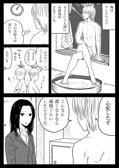 大人の女性とマンドラゴラの話その4 