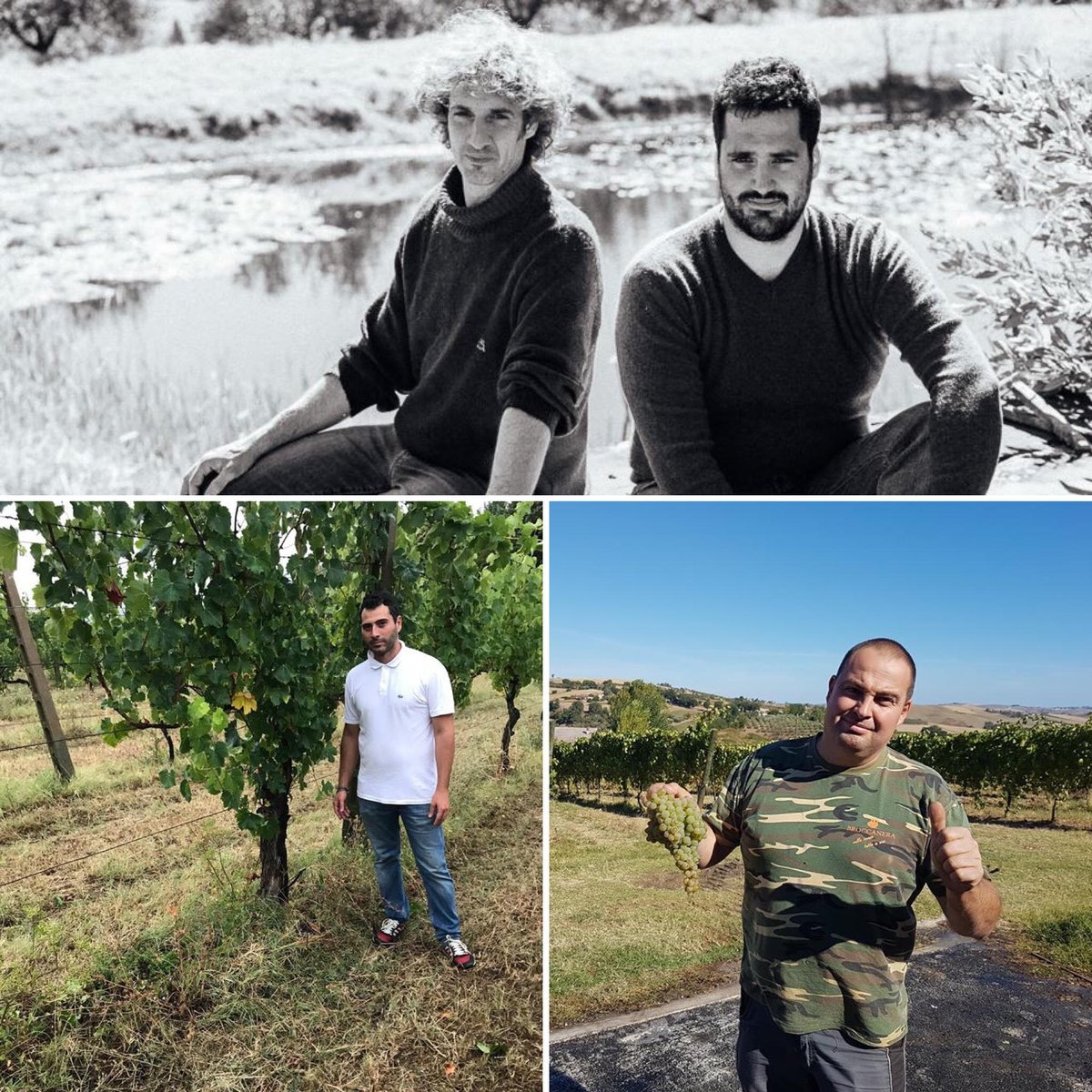 terroirmarche's tweet photo. E' con grandissimo piacere che annunciamo l'ingresso di tre nuovi soci nella famiglia di #TerroirMarche! 
Tomassetti (Senigallia -AN) https://t.co/AX3qjskyBq
Fattoria Nannì (Apiro -MC) - https://t.co/GcpKLqozzs
Broccanera (Arcevia - AN) - https://t.co/Aq6G5NWGeX https://t.co/sNXw4JzJPM