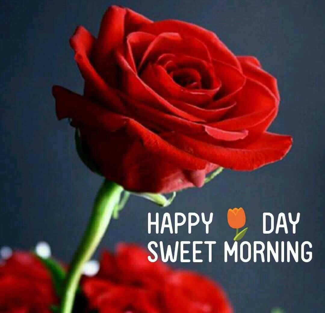 avaniputra tweet picture