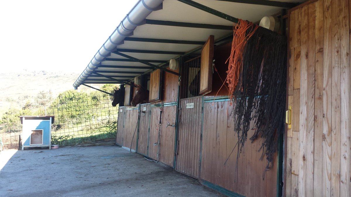 Kara3Z1's tweet photo. Zierbenera hurbildu gara Zuriren animaliak ikustera: ahuntzak, zaldiak...IZUGARRIA IZAN DA! https://t.co/GfhvdhMllX