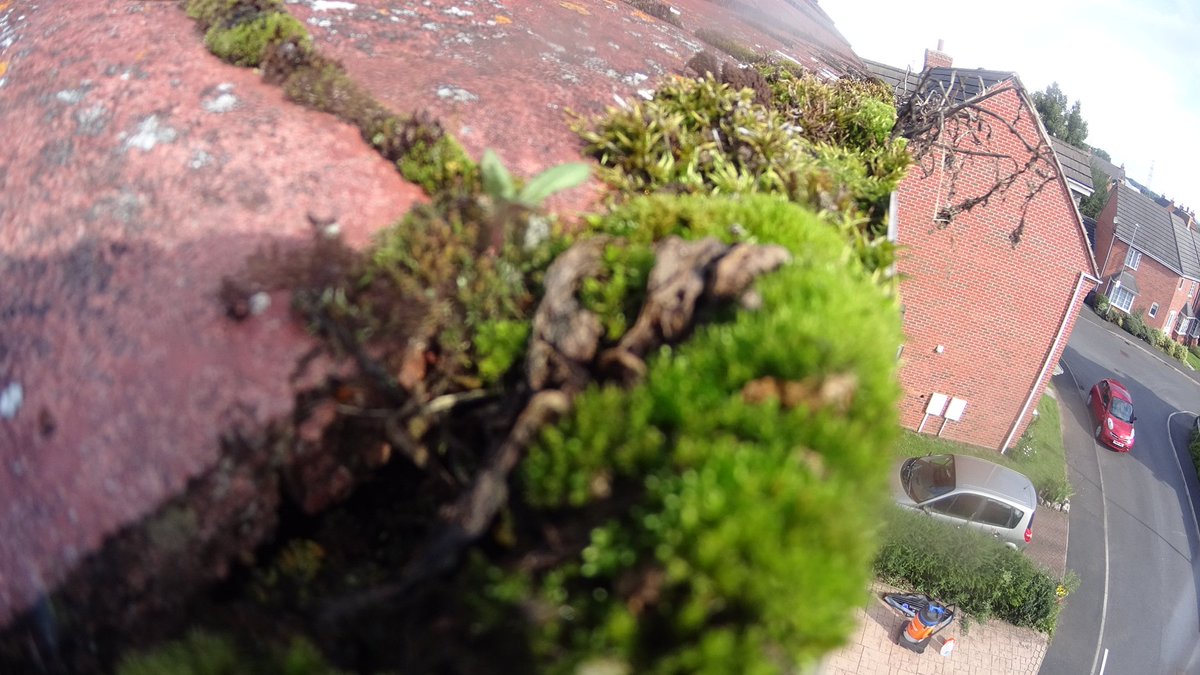 GutterPRODerby's tweet image. Domestic &amp;amp; Commercial gutter cleaning for #landlords no mess, no ladders, safe and sound we do it from the ground. We cover all of #derbyshire contact us for a no obligation quote. We provide a gutter cleared certificate for your records.