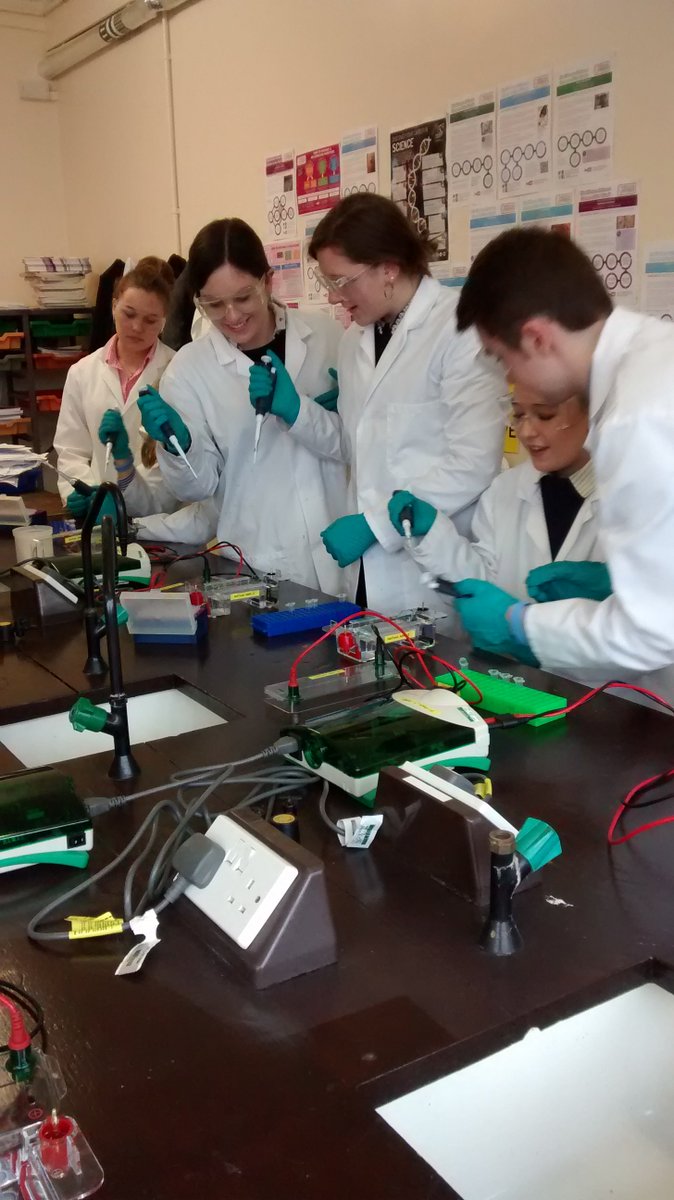 Yr 13 Biologists have started their AMGEN Biotech experience; using recombinant DNA techniques to introduce new genes into an organism and have that organism produce new proteins. Photos show students learning to use a micropipette and carry out gel electrophoresis. #icandiscover