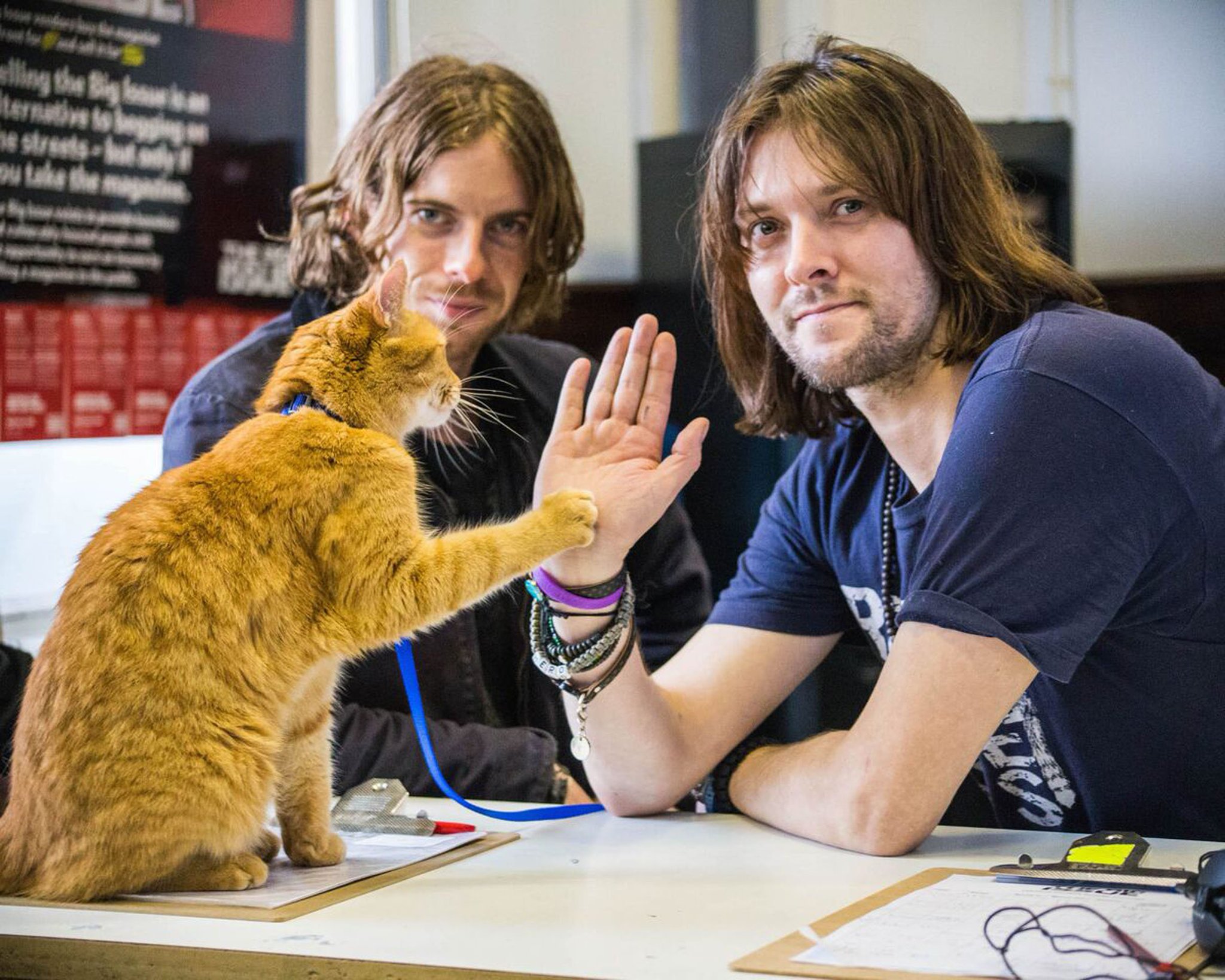 Happy birthday, James Bowen! Hope you and have a purrfect day  