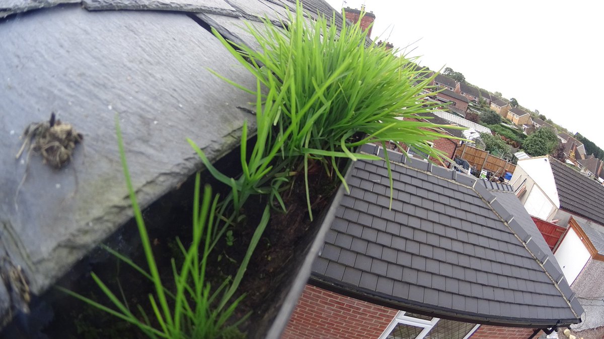 GutterPRODerby's tweet image. Domestic &amp;amp; Commercial gutter cleaning for #landlords no mess, no ladders, safe and sound we do it from the ground. We cover all of #derbyshire contact us for a no obligation quote. We provide a gutter cleared certificate for your records.