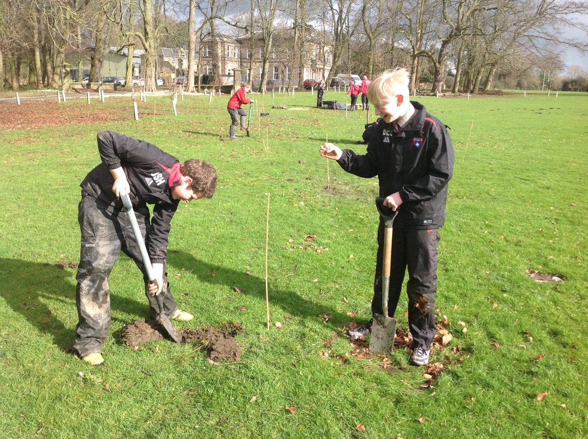 shoosocial's tweet photo. RT @GhyllRoydSchool: We had the most wonderful day exploring our grounds with @woodlandmel yesterday for our #EcoSchoolsDay. #ThrowbackThursday to last year when we planted around 450 trees for the @WoodlandTrust #CentenaryWoods project. #GreenTreeSchool… https://t.co/Oq3TwQbtys