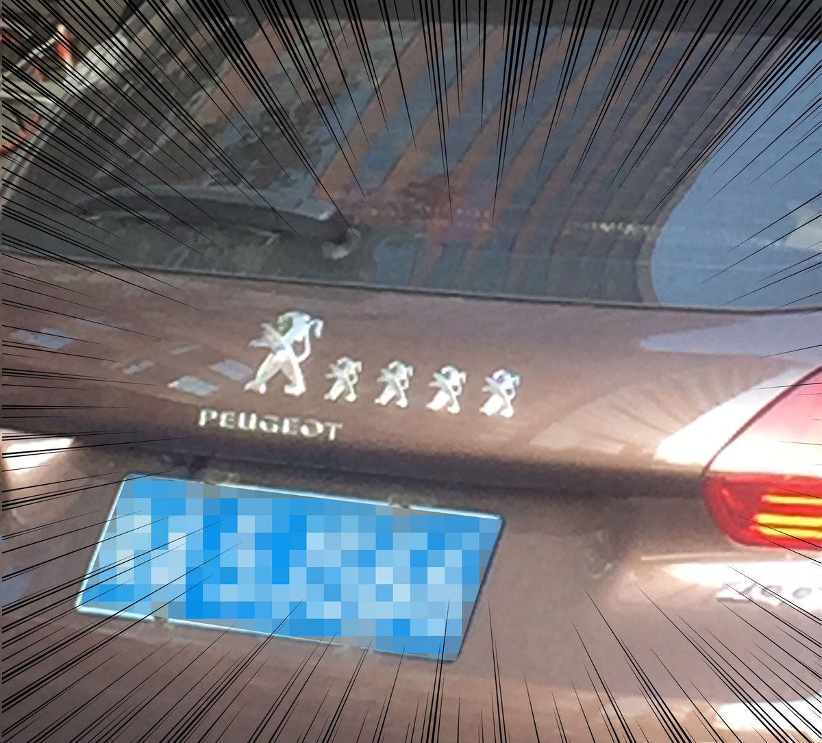 The lion's family?️?️?️?️?️ 
