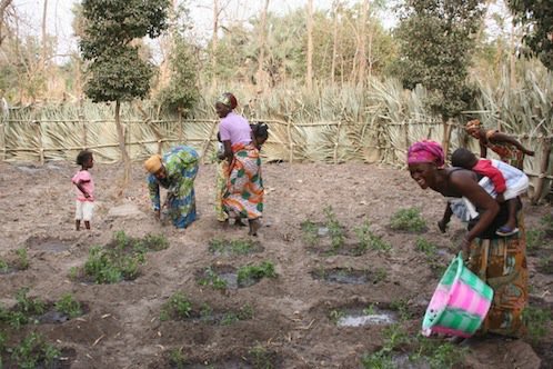 Bruno Mendy (@brunomendy3) on Twitter photo 